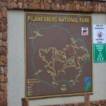 Pilanesberg National Park Full-Day Tour from Johannesburg - Who Should Book This Tour?
