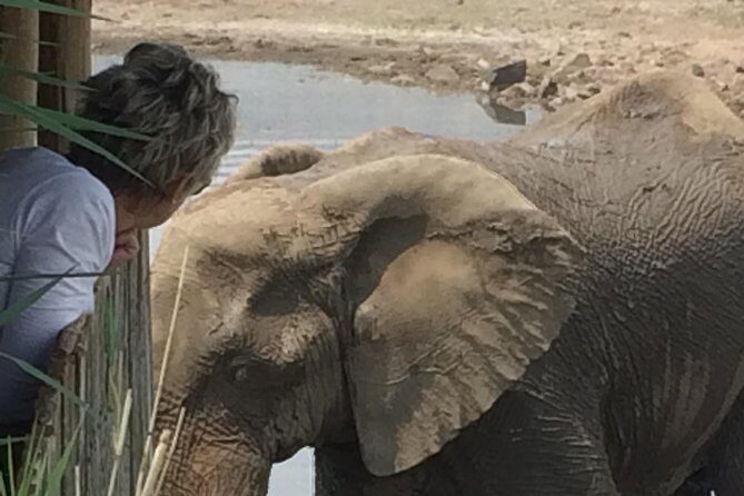 Pilanesberg National Park Safari in Open Vehicle from Johannesburg - Detailed Itinerary Breakdown