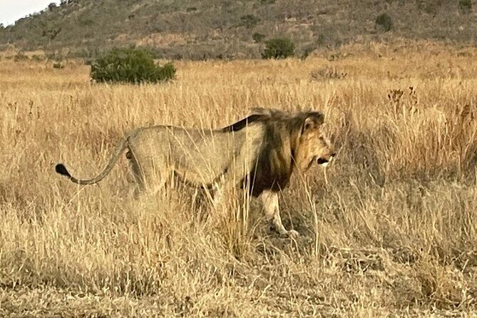 Pilanesberg National Park Tour - Key Points
