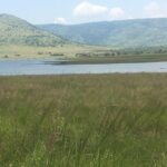 Pilanesberg Safari Day Tour - Who Should Consider This Tour?