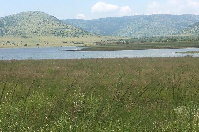 Pilanesberg Safari Day Tour - Who Should Consider This Tour?