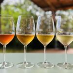 Pitigliano: Ciliegiolo Grape Wine Tasting - The Sum Up: Is This Tour Worth It?