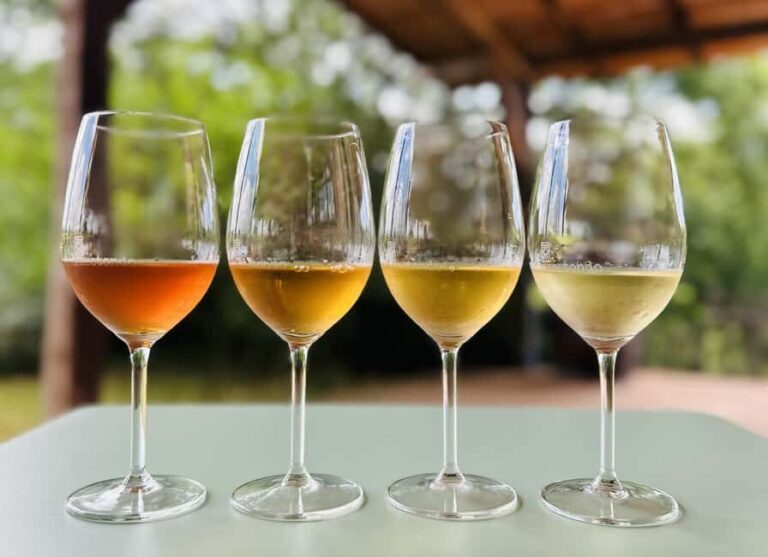 Pitigliano: Ciliegiolo Grape Wine Tasting - The Sum Up: Is This Tour Worth It?