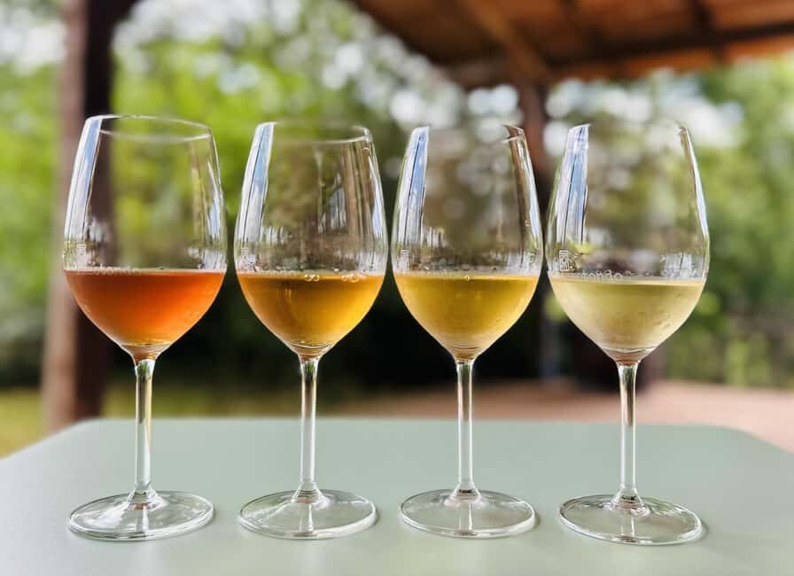 Pitigliano: Ciliegiolo Grape Wine Tasting - The Sum Up: Is This Tour Worth It?