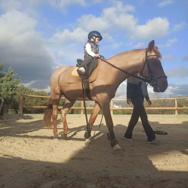 Plakias: Horse Riding Lesson - Why This Horse Riding Lesson Is Worth Considering