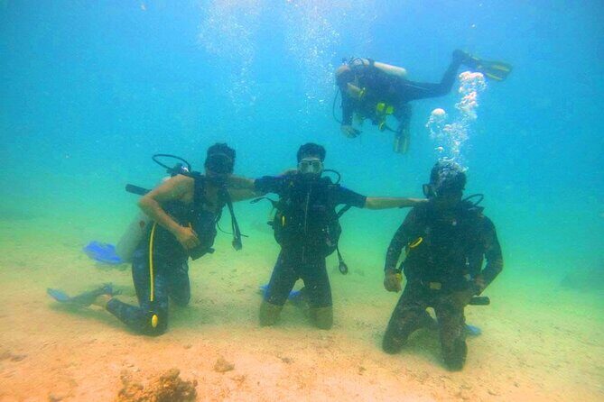 Pleasure Scuba Diving in Fujairah for Certified Diver - What Makes This Tour Stand Out