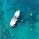 Podstrana: Full-Day Boat Trip to islands of Bra and olta - Food and Drinks: A Real Value Add