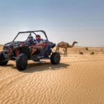 Polaris RZR 1000cc 2seater Desert Adventure Guided Tour - What Makes This Tour Stand Out