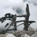 Pollino Hiking - day trips in the Pollino National Park - The Guide and Logistics: What’s Included and What Not