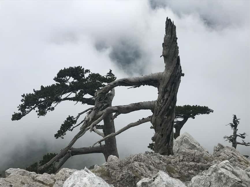 Pollino Hiking - day trips in the Pollino National Park - The Guide and Logistics: What’s Included and What Not