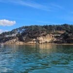 Poole Harbor: 2, 3, 4, 6, or 8-Hour Boat Rental Service - What to Expect on Your Journey