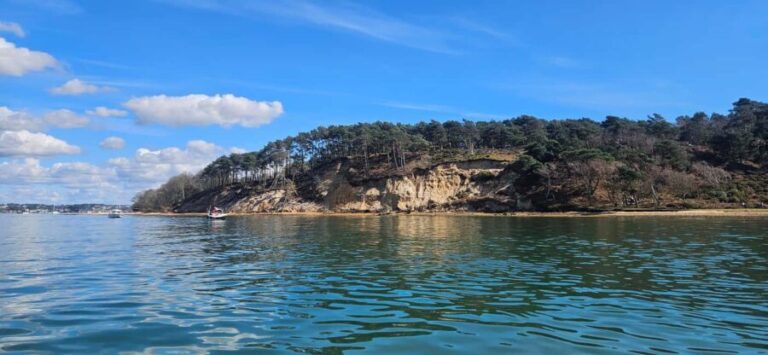 Poole Harbor: 2, 3, 4, 6, or 8-Hour Boat Rental Service - What to Expect on Your Journey