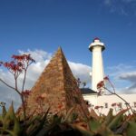 Port Elizabeth Safari and City Tour from Gqeberha - Authentic Insights From Past Travelers