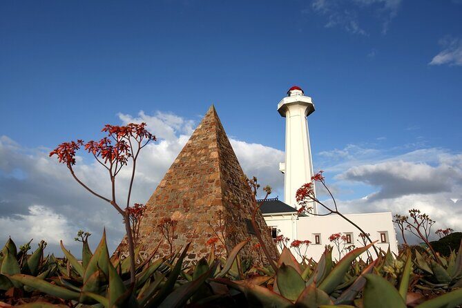 Port Elizabeth Safari and City Tour from Gqeberha - Authentic Insights From Past Travelers