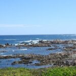 Port Elizabeth Wildside Scenic Drive - FD17 - Practicalities and Value