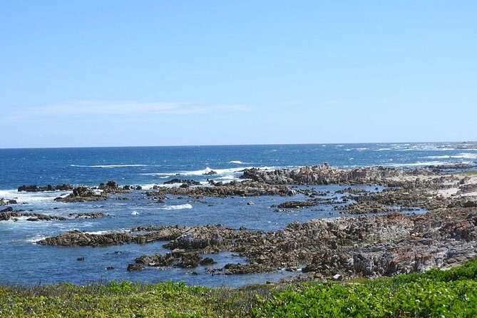 Port Elizabeth Wildside Scenic Drive - FD17 - Practicalities and Value