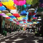 Port Louis and Pamplemousses Garden - A full day trip - Practical Details and Tips