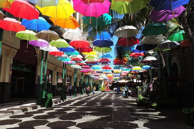 Port Louis and Pamplemousses Garden - A full day trip - Practical Details and Tips