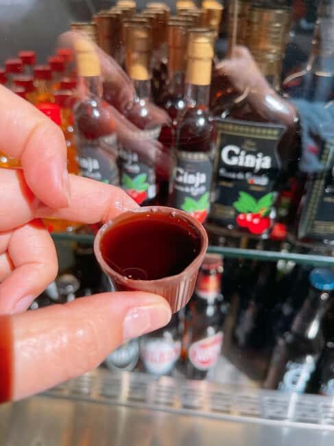 Porto: Bolhão Market Food Tour with Rooftop Bar Visit - Final Thoughts: Is It Worth It?