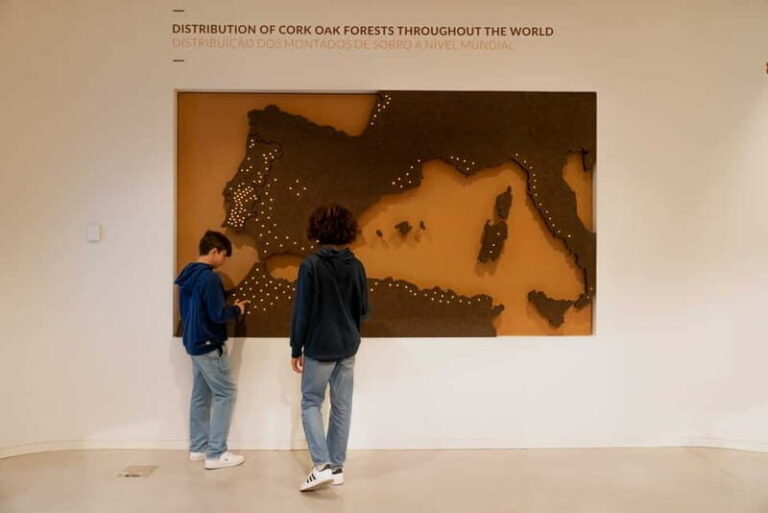 Porto: Cork Museum: Immersive and Perfect for Families - The Core Experience: What Will You See and Do?