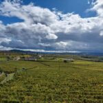 Porto: Douro Valley Tour by Private Car - The Practicalities and Value
