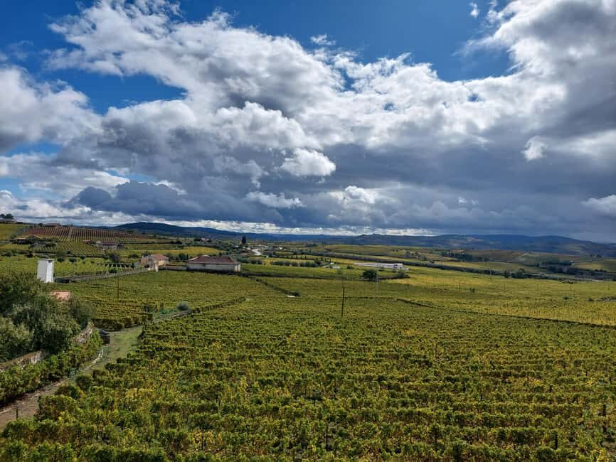 Porto: Douro Valley Tour by Private Car - The Practicalities and Value