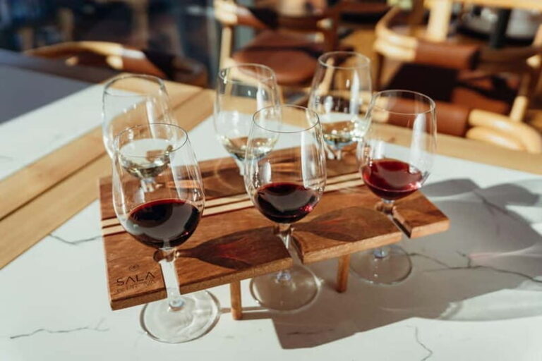 Porto: Douro Wine Tasting in the Tasting Room - Who Will Love This Tour?