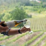 Porto: Green Wine Tasting and visit - The Itinerary Breakdown: What Makes It Special?