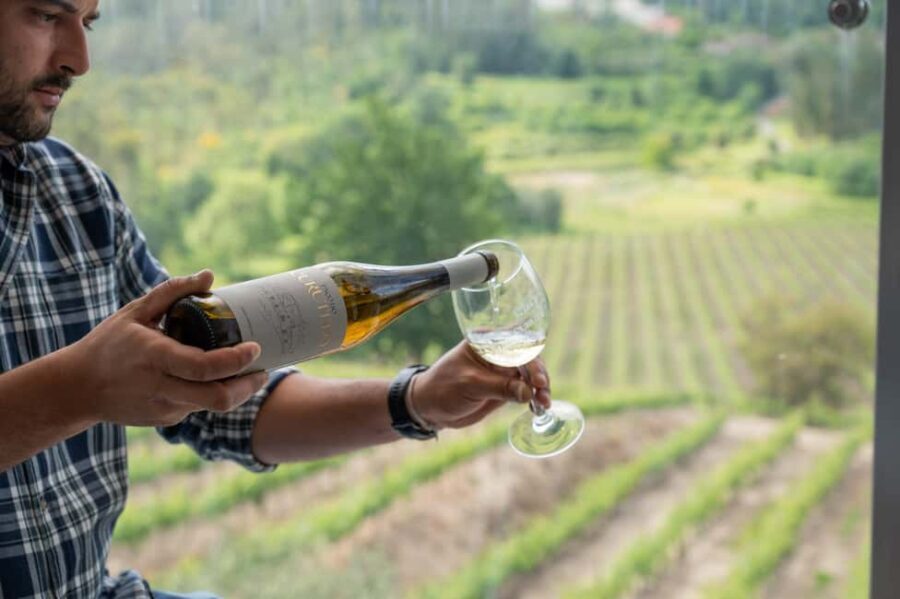 Porto: Green Wine Tasting and visit - The Itinerary Breakdown: What Makes It Special?