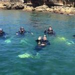 Porto: My first Scuba Dive in the Ocean - Practical Details and Tips