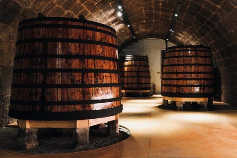 Porto: premium tasting wine tour at Fonseca cellars - Value & Price Analysis