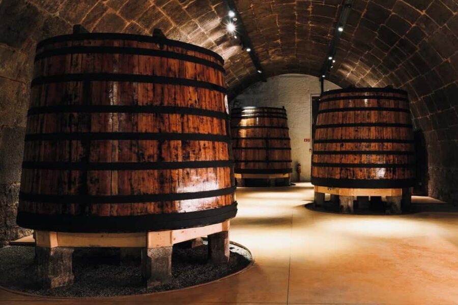 Porto: premium tasting wine tour at Fonseca cellars - Value & Price Analysis