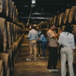 Porto: Prestige Tour & Vintage Premium Tasting at Taylor's - Who Will Love This Tour?