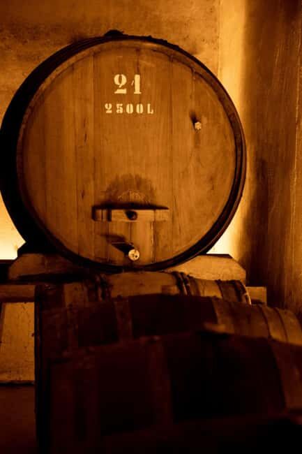 Porto: Private tour in Bairrada - From wine to suckling pig with tradition. - The First Winery: Discovering Portugal’s Best Reds and Sparkling Wines