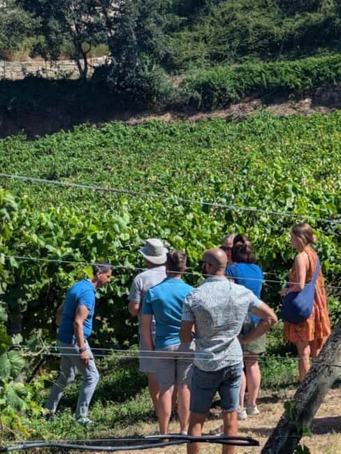 Porto: Private tour of the Douro Valley and schist village. Exclusive program - FAQs