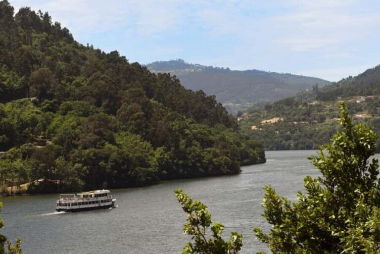 Porto/Régua/Porto Downstream - Who Will Love This Tour?