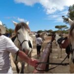 Porto Santo Island: Horse Riding - What to Expect During the Horseback Ride
