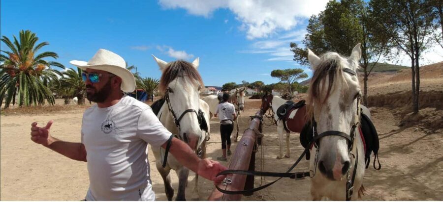 Porto Santo Island: Horse Riding - What to Expect During the Horseback Ride