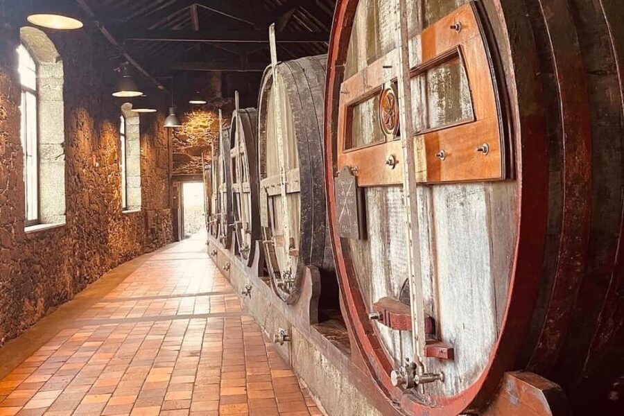 Porto wine tour - exquisite and private to Burmester Cellars - What To Bring
