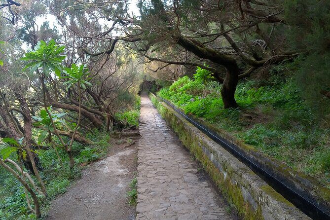 PR6 25 Fountains/Risco Levada Walk - Authentic Experiences and Authenticity