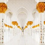 Premium Abu Dhabi Half Day Tour from Dubai - The Experience: What Travelers Say