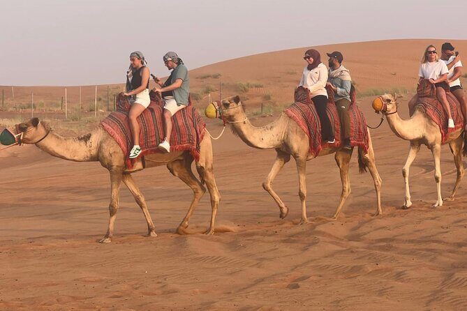Premium Desert Quad (ATV) Bike Ride Adventure & Sand boarding - Why This Tour Offers Great Value