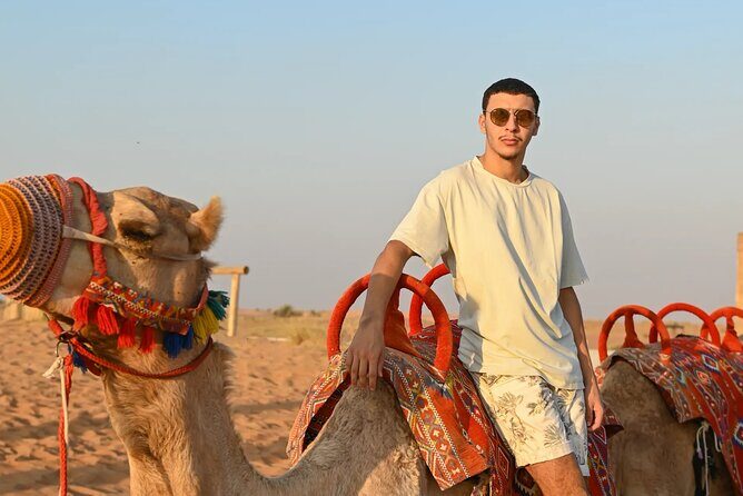 Premium Desert safari ( AL TAWARQ ) - Why You’ll Love This Experience