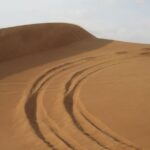 Premium Desert Safari, Barbeque, 3 Shows, Camel ride, Sand-board at Bedouin camp - Analyzing the Value