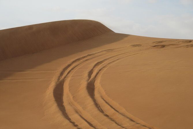 Premium Desert Safari, Barbeque, 3 Shows, Camel ride, Sand-board at Bedouin camp - Analyzing the Value