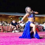 Premium Desert Safari Dubai with Camel Riding and BBQ Dinner - Guides and Service Quality