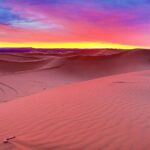 Premium Desert Safari with 45 Minutes of Dune Bashing, BBQ Dinner & Belly Dance - Authentic Insights from Travelers