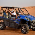 Premium Desert Safari With BBQ Dinner & Belly Dance - Booking and Practicalities