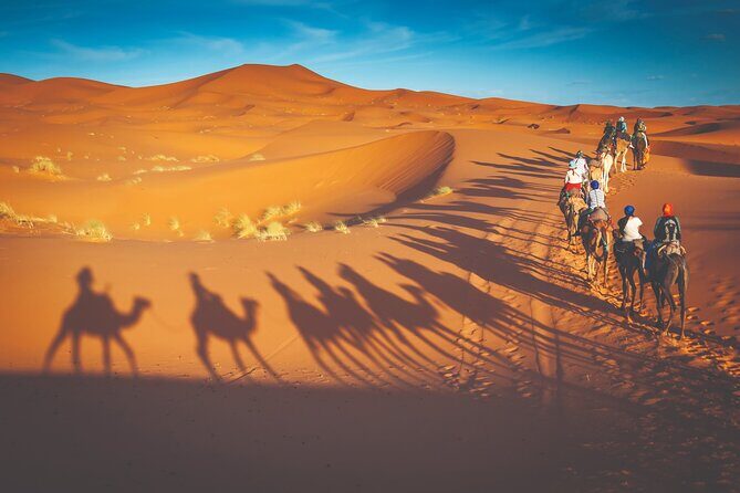 Premium Desert Safari with BBQ Dinner - Dubai - Final Thoughts