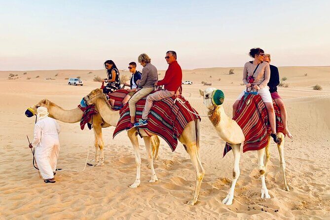 Premium Desert safari With Dune buggy camel ride BBQ dinner - Al Awir Camp Experience